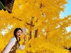 -承恩寺
