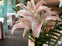 -南堂馆·新川菜(春熙路店)