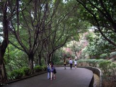 南沙天后宫3-南沙天后宫景区