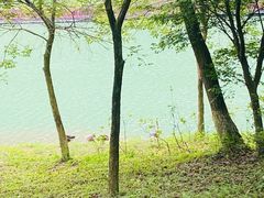 -广州白江湖森林公园