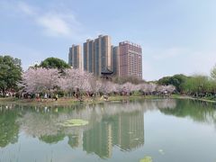 -堤角公园
