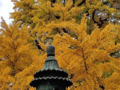 -红螺寺