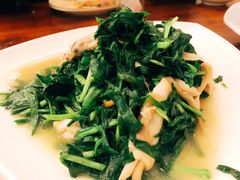 韭菜炒蛏子-侬佳蒸菜馆(听潮店)