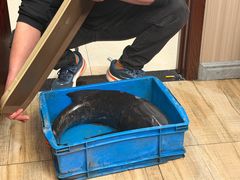 -旭龙鱼头王(航华店)