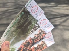 -金龙寺国家森林公园