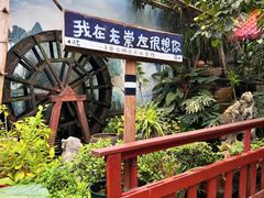 -老崇左特色风味食馆