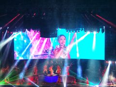 -南京奥林匹克体育中心-体育馆