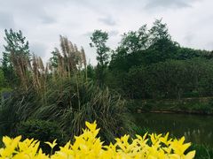 -白鹭湾湿地公园