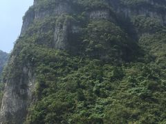 -紫鹊界梯田景区