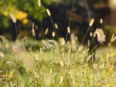 -长春公园(普阳街道)