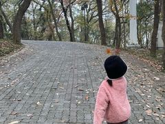 -虞山风景区
