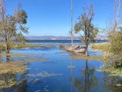 -洱海月湿地公园