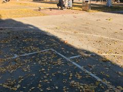 -辽东学院(南校区)