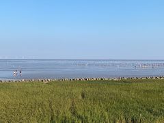 -南汇嘴观海公园