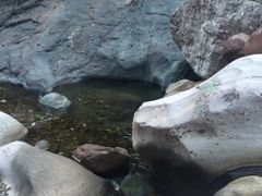 -历山猕猴源景区