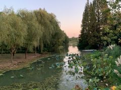 -昆山城市生态森林公园