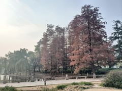 -上海大学(宝山校区)