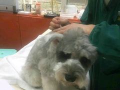 -惠康宠物医院(华能路店)