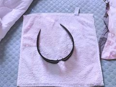 -爱马仕 HERMES(王府井步行街店)