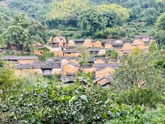 -杨家堂村