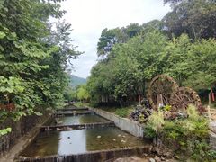 -广州白江湖森林公园