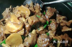 Stewed Goose