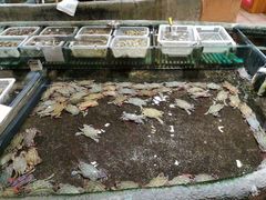 -老船夫婚宴婚庆会馆(延吉路店)