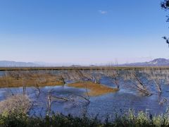 -野鸭湖国家湿地公园