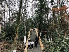 -云碧峰国家森林公园