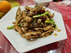 -品雅轩农家乐