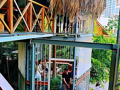 -Rainforest