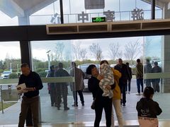 -盐城丹顶鹤湿地生态旅游区