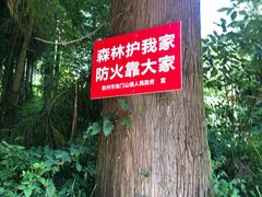 -九峰山