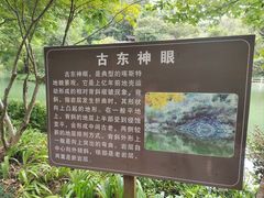 -桂林古东瀑布景区