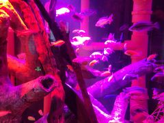 -沈阳海洋探索中心