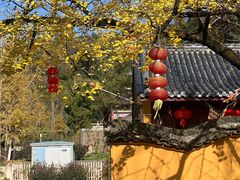-长兴八都岕景区