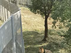 -合肥野生动物园