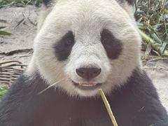 -石家庄市动物园