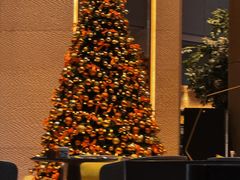 -博林天瑞喜来登酒店·西丽尚膳