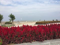 -东疆建设开发纪念公园