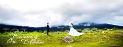 点击看大图 -摩玛婚纱摄影(杭州店)