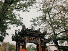 -西湖公园(鼓楼区)