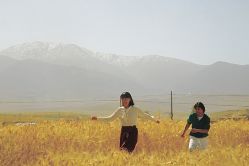-盛夏光年studio·美学·电影感·定制