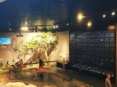 -北京周口店北京人遗址博物馆
