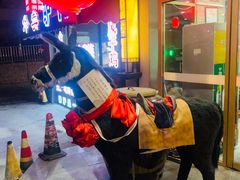 -乔家小院•本地小海鲜•非遗驴肉(万年泉路店)