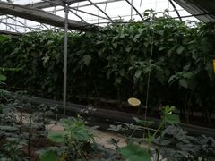 -唐山尚禾源旅游景区