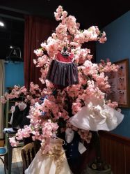 -星豆豆儿童摄影(南郊太白南路店)