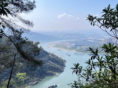 -铁山坪森林公园