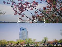 -无锡蠡湖国家湿地公园-蠡园