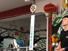 -南戴河国际娱乐中心